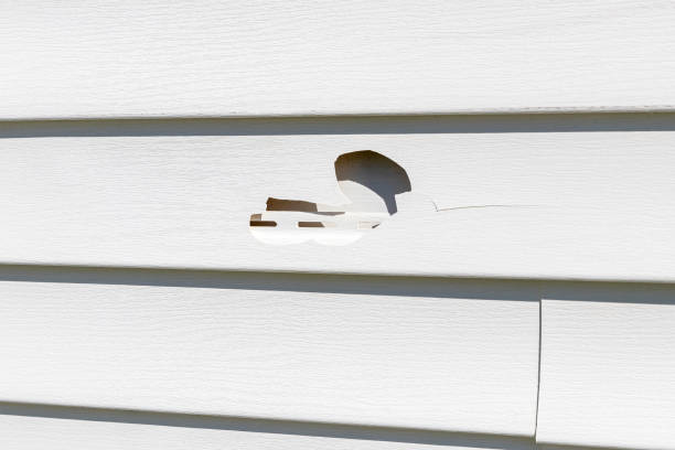 How To Choose The Right Materials for Your Siding Installation in 'Laughlin, NV